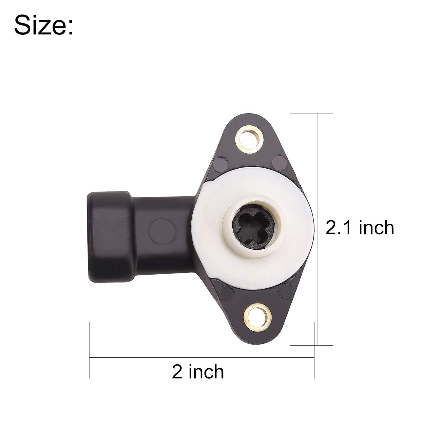 Size
