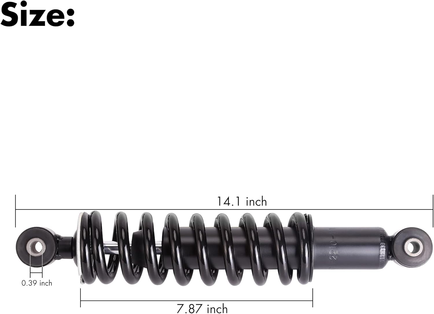 Size