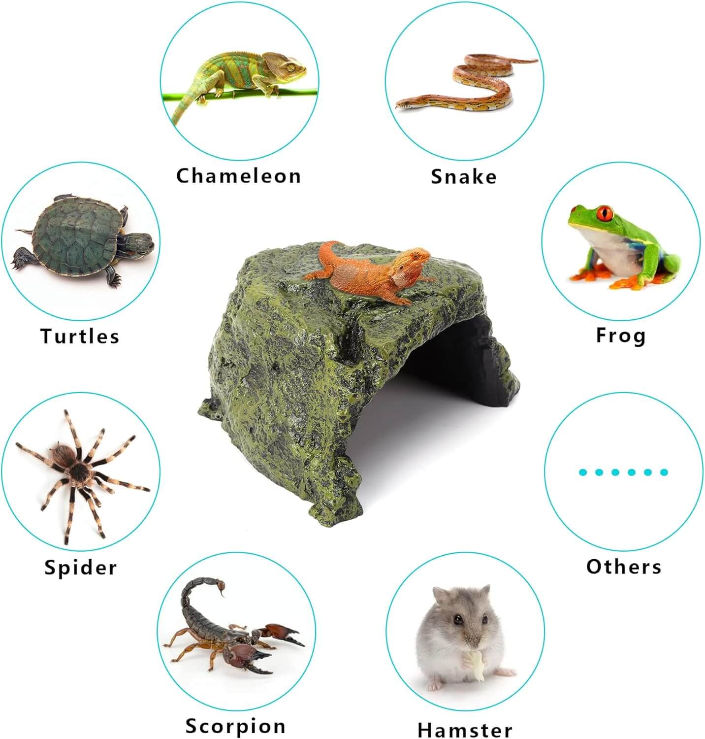 Reptile Rock Hide Cave